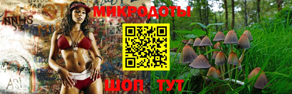 Зеленокумск  Галлюциногенные грибы Cubensis  Вход с VPN 
